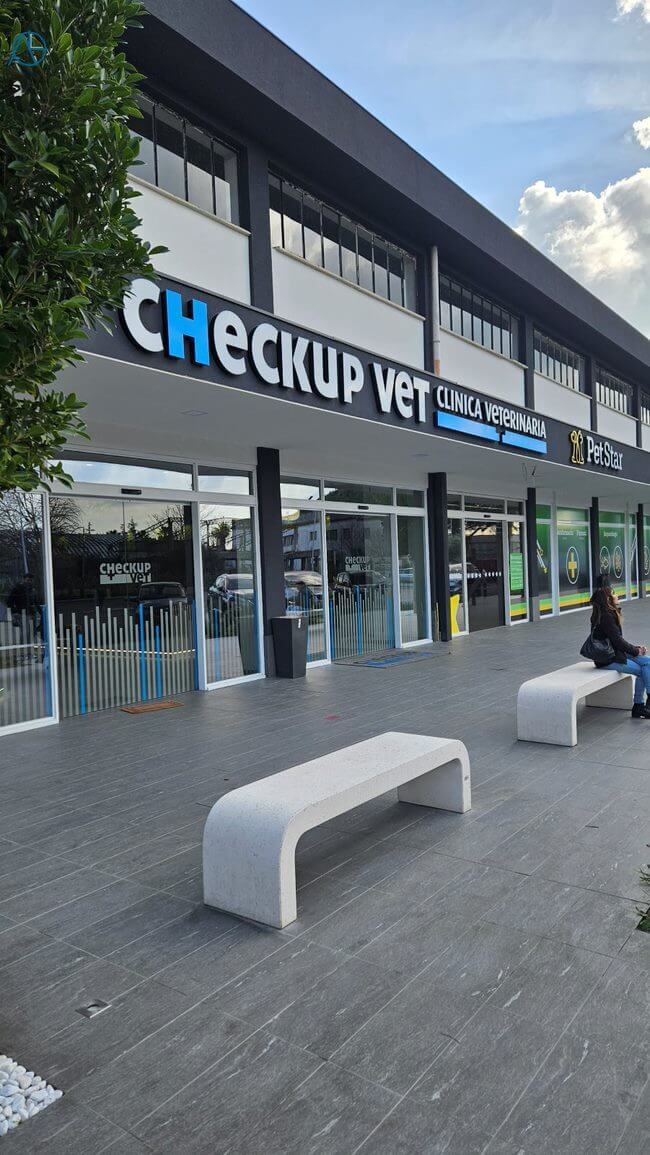 20240222_095317.c650x1155